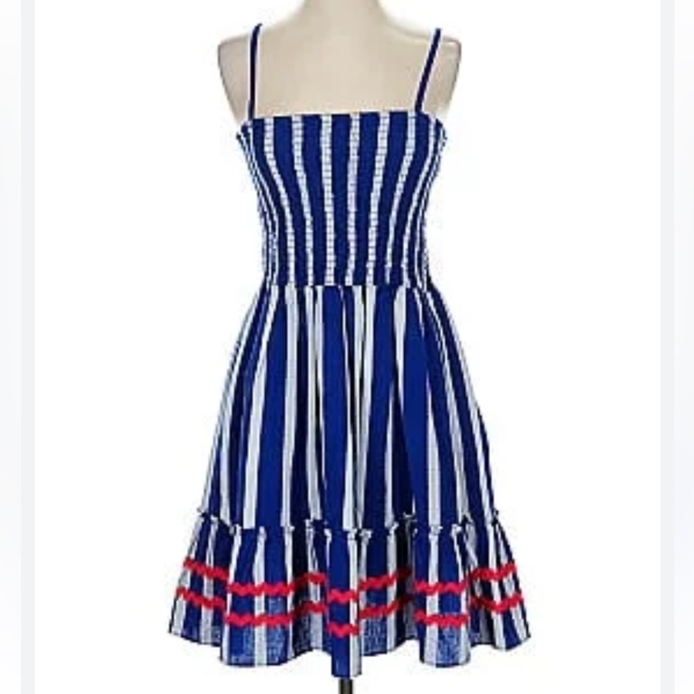 Sail to Sable Striped Jacquard Blue and White smocked Mini Dress